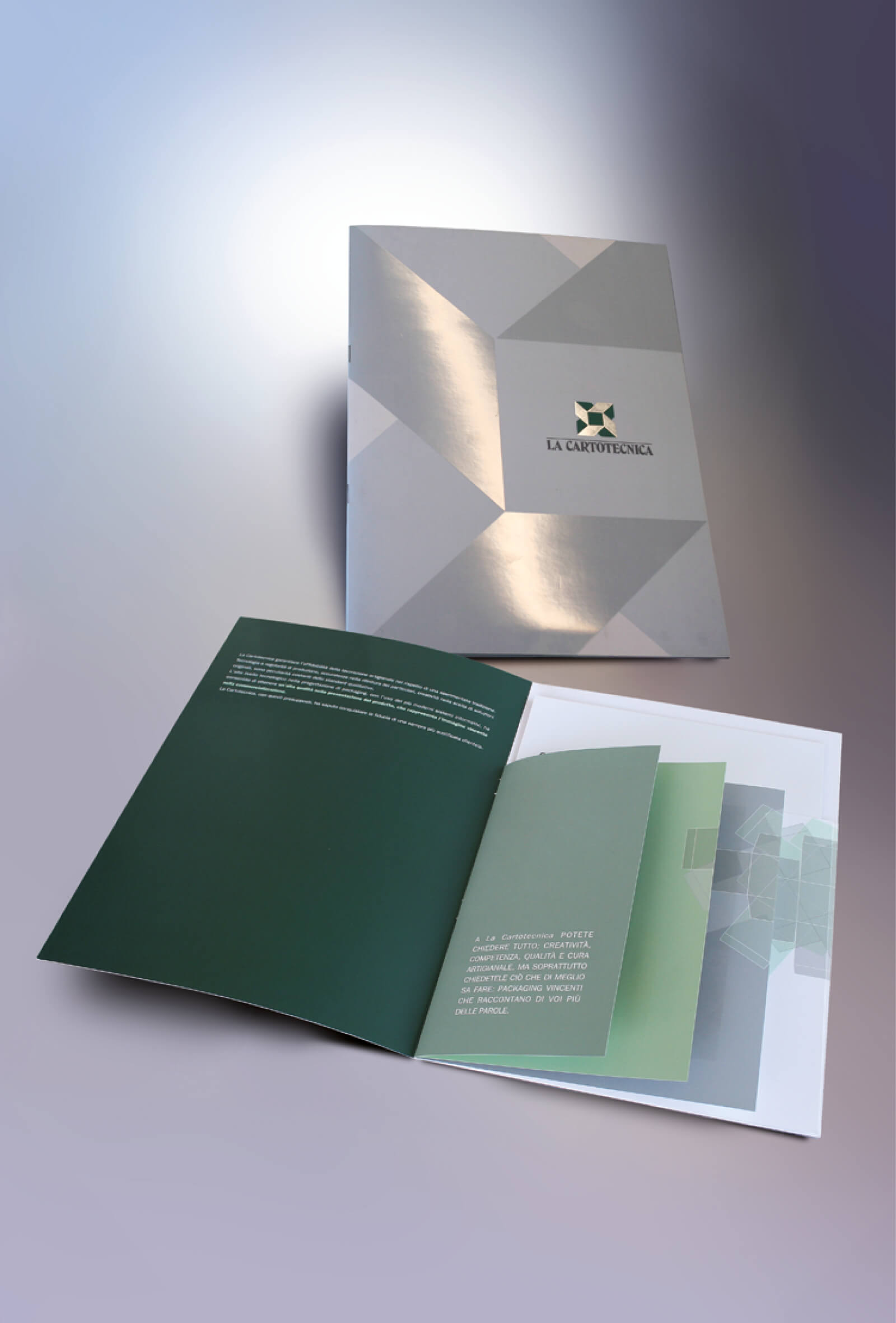 vista della copertina e delle pagine aperte brochure composta da fogli di diversa dimensione, progetto per company profile La Cartotecnica, progetto diadestudio arco trento rovereto